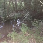 Сельхозземли: пруды, пахотная и луговая