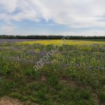 земельные наделы с\х назначения