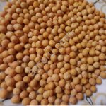 Крупа Горох продовольственный целый шлифованный ГОСТ