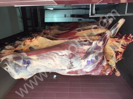 Бычки 110+ первая категория