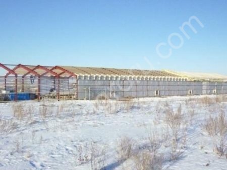 Строительство, землеустройство, холодоснабжение