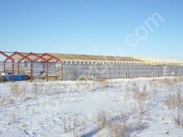 Строительство, землеустройство, холодоснабжение