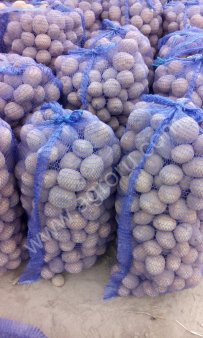 картофеля урожая 2016г