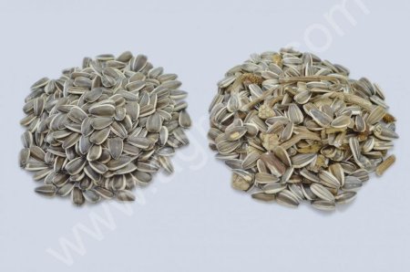 Фотосепаратор Б4