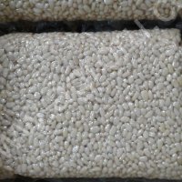 ядро кедрового ореха