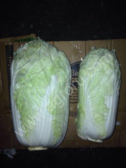 Капуста пекинская