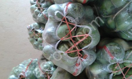 Редька Маргиланская