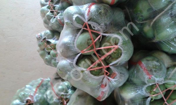 Редька Маргиланская