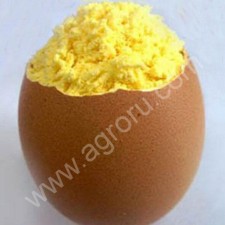 Яичный порошок (меланж сухой)