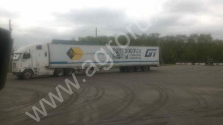 Чага березовый гриб ( Inonotus obliquus)