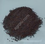 Горчица черная