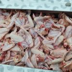 Крыло ЦБ 2 сорт