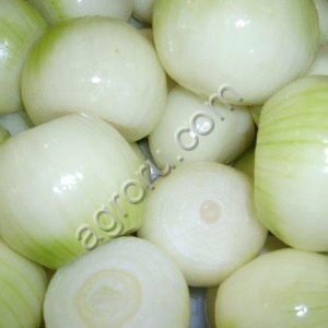 Лук (охлажденный /замороженный)