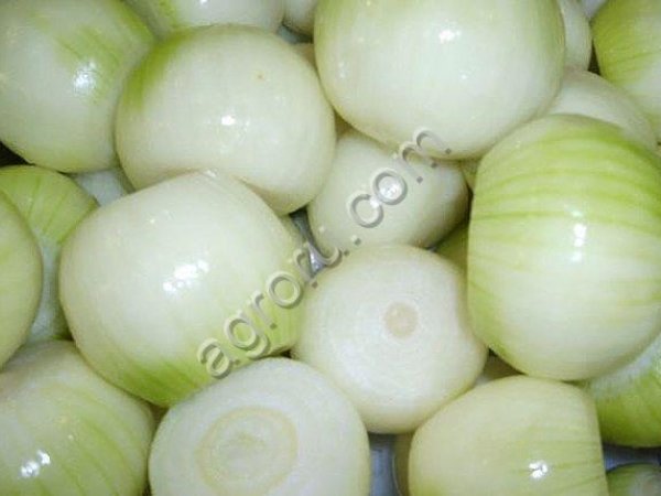 Лук (охлажденный /замороженный)