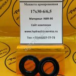 Сальник гидромотора/гидронасоса 17x30-6/6,5