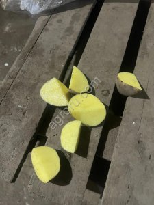 Картофель в Казани сорт Гала