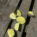 Картофель в Набережных Челнах сорт Гала