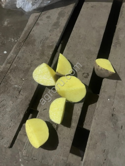 Картофель в Набережных Челнах сорт Гала