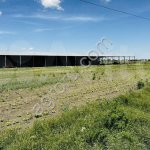 действующее сельскохозяйственное предприятие под ключ