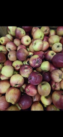 Яблоко Гала Мема в контейнерах