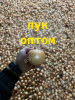 Лук репчатый в Волгоградской области