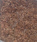 Семена :Пшеница ,овес,ячмень,лен,гречиха,суданская трава