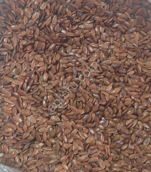 Семена :Пшеница ,овес,ячмень,лен,гречиха,суданская трава