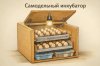 Инкубатор своими руками — устройство и конструкции самодельных инкубаторов (часть 1)