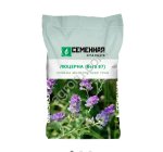 Семена многолетних трав