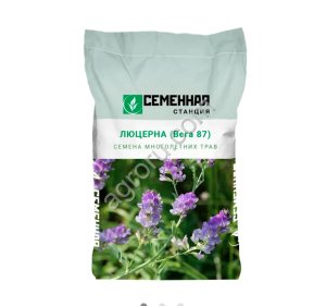 Семена многолетних трав