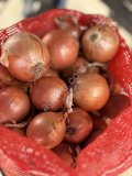 Лук репчатый оптом от производителя