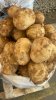 Картофель