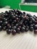 ЧЕРНАЯ СМОРОДИНА замороженная (на выбор механическая или электронная очистка) доставка до клиента