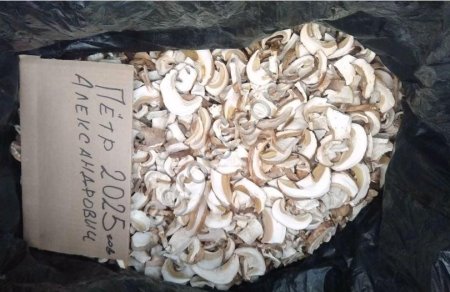 Сухой белый гриб