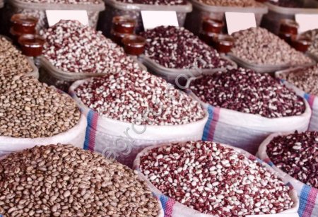 Красная томата, белая лопатка и другие сорта