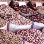 Красная томата, белая лопатка и другие сорта