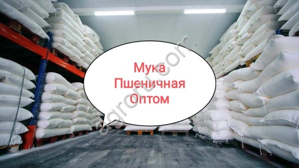 Мука оптом Мука пшеничная опт