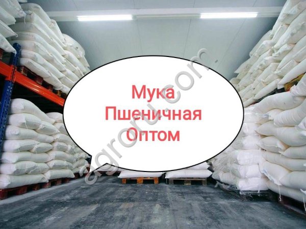 Мука оптом Мука пшеничная опт