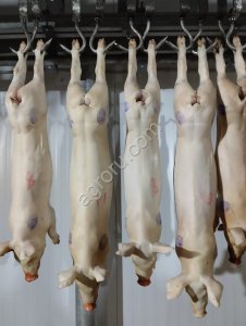 Свинина в полутушах