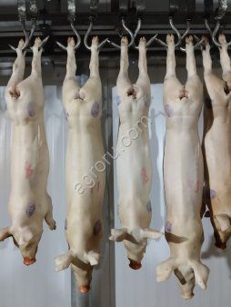 Свинина в полутушах