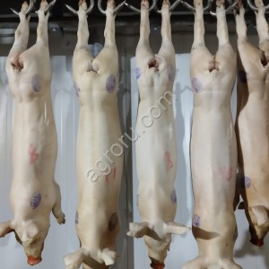 Свинина в полутушах
