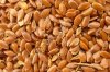Flax seed CIF port of Tianjin China