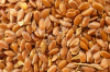 Flax seed CIF port of Tianjin China