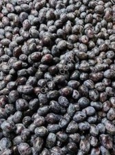 Слива замороженная c косточкой, кубик, половинка