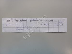 Яровой ячмень