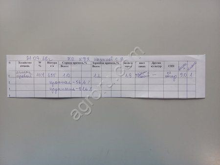 Яровой ячмень