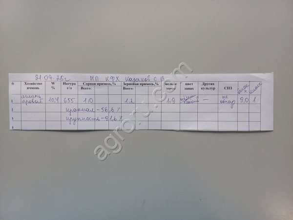 Яровой ячмень