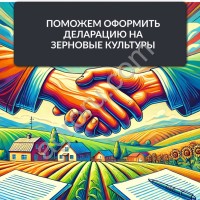 Декларации на зерновые культуры