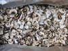 СУШЁНЫЕ ЛЕСНЫЕ ГРИБЫ ОТ КОМПАНИИ Грибной Алтай