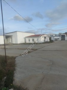 Убойное предприятие